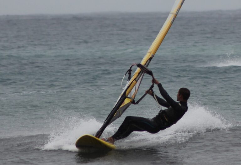 Planing Windsurfer 768x527